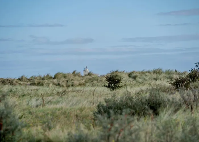 Sonnenseite 49 3 S Daire Schillig