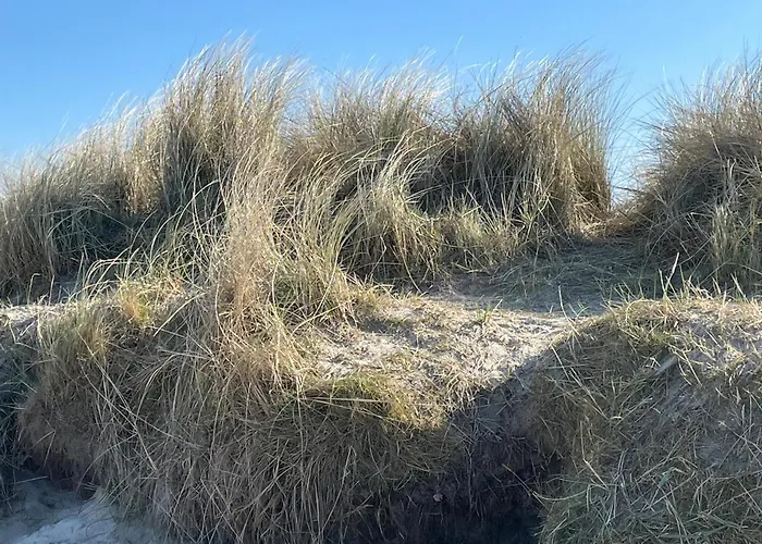 Daire Sonnenseite 49 3 S Schillig